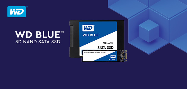 ASBIS portfolio expanded with full range of WD SSD products.
